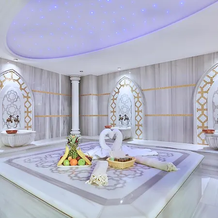 Emirhan Palace فندق *